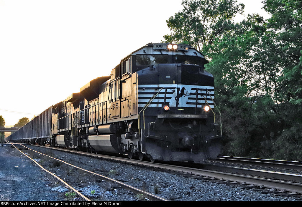 NS 1081 on 62V